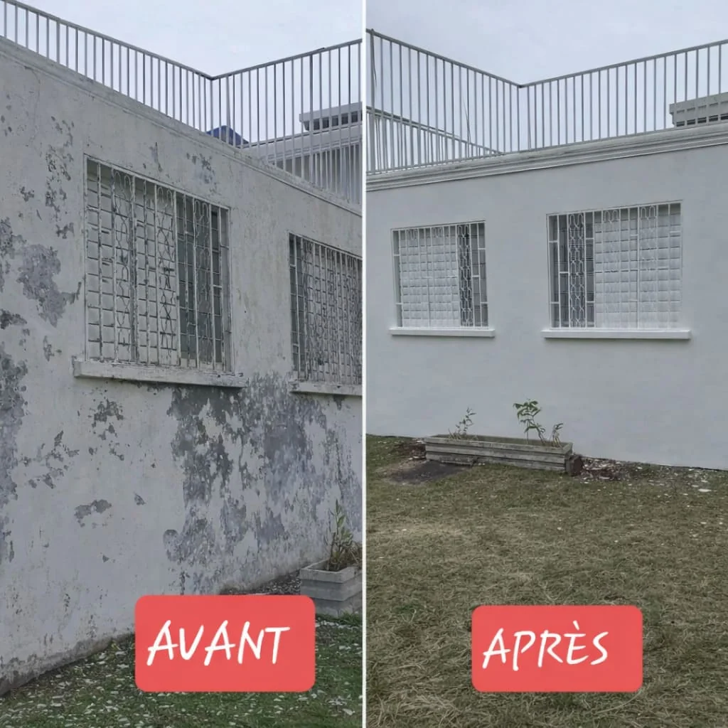 peinture de facade crepis pierre avant deco facades 65